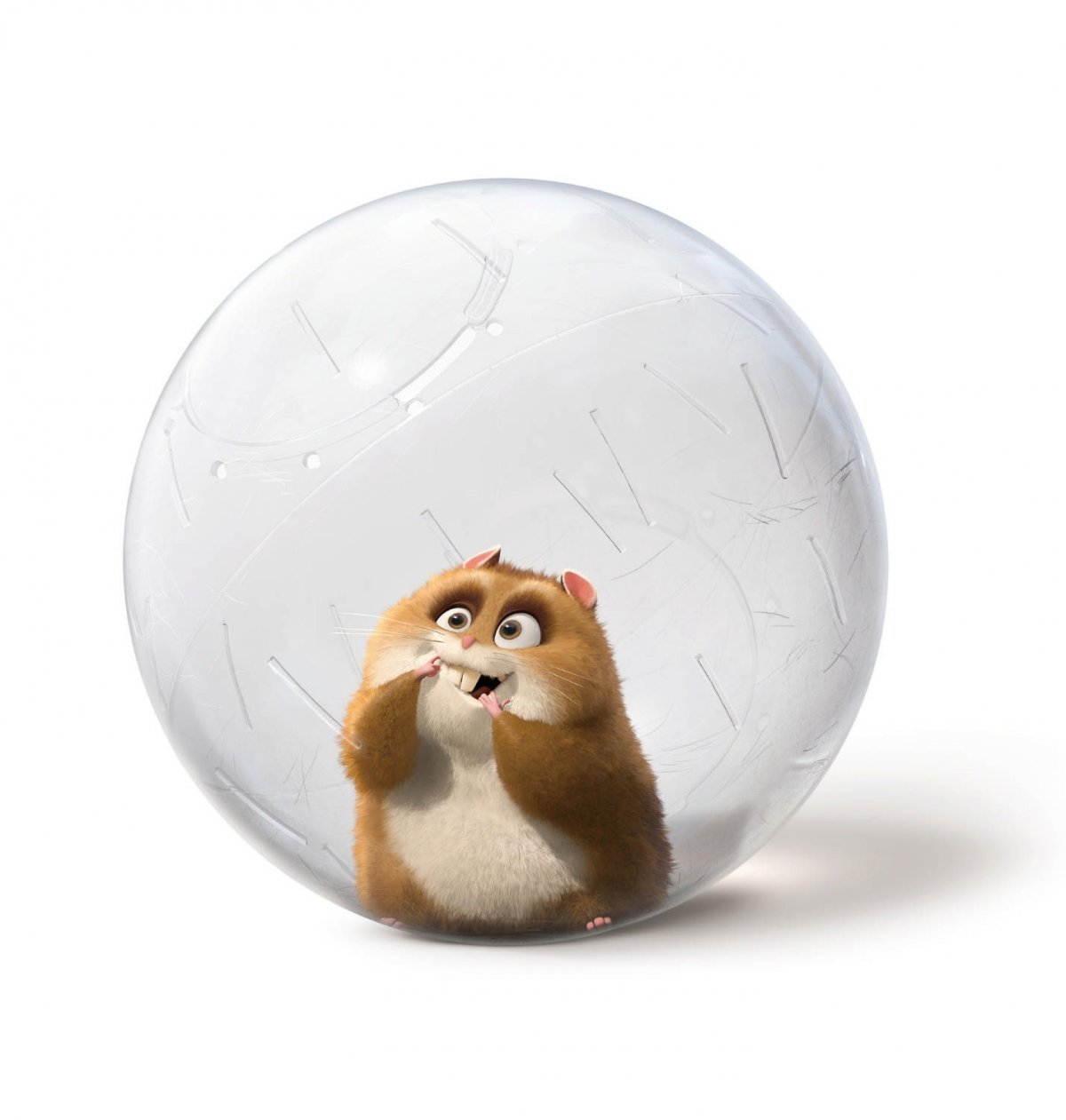 Вольт хомяк Рино