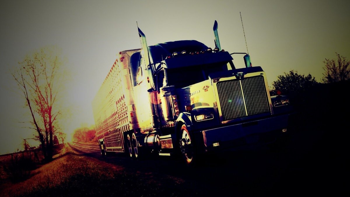 Фуры дальнобойщики