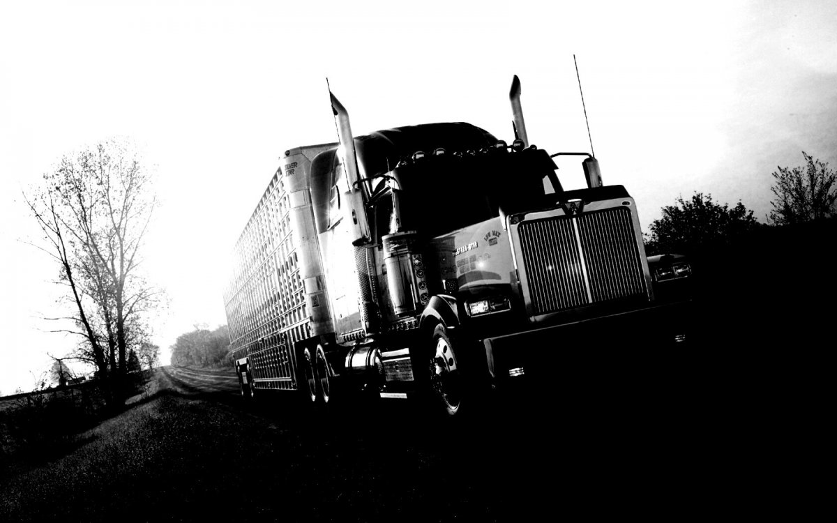 Скания грузовик для дальнобойщиков