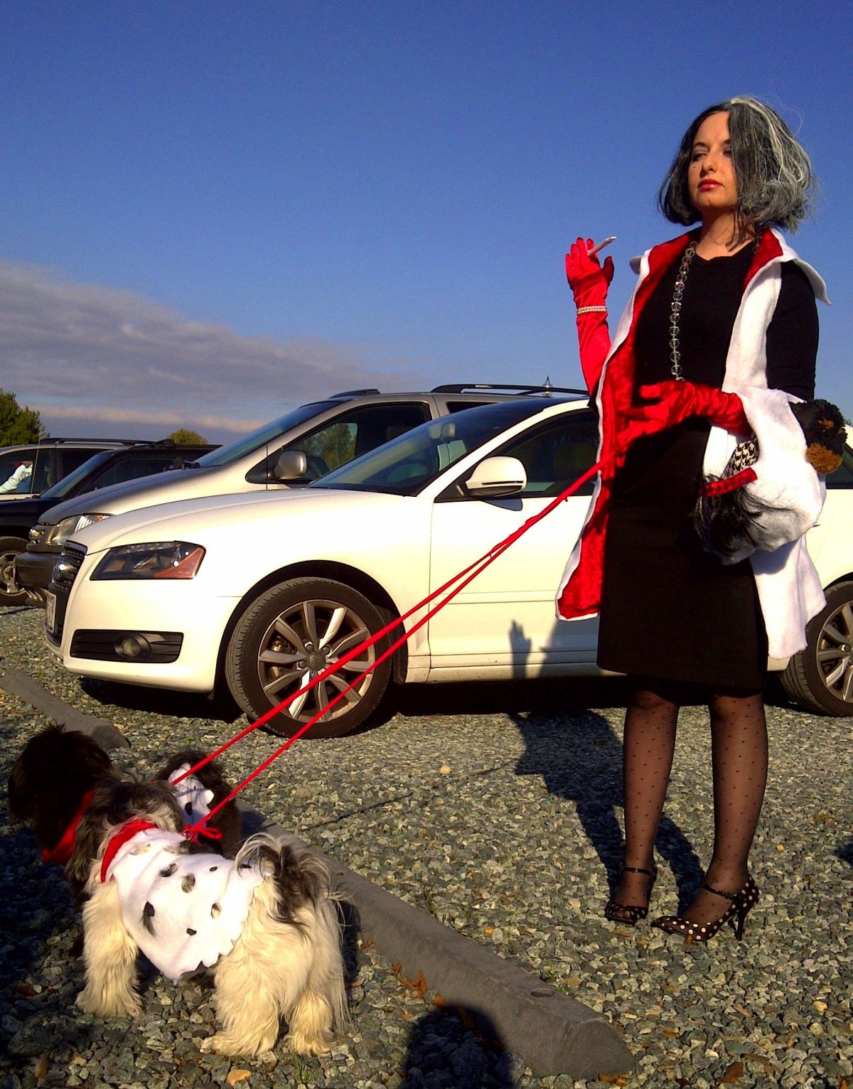 Помощник баронессы Круэлла 2021