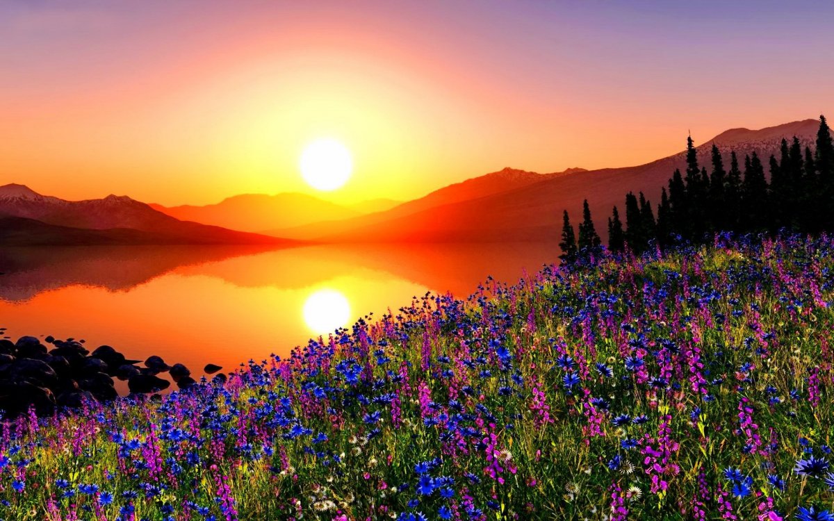 Природа рассвет