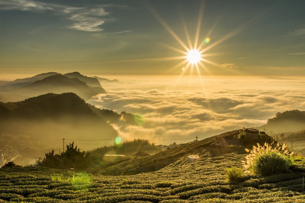 Пейзаж рассвет