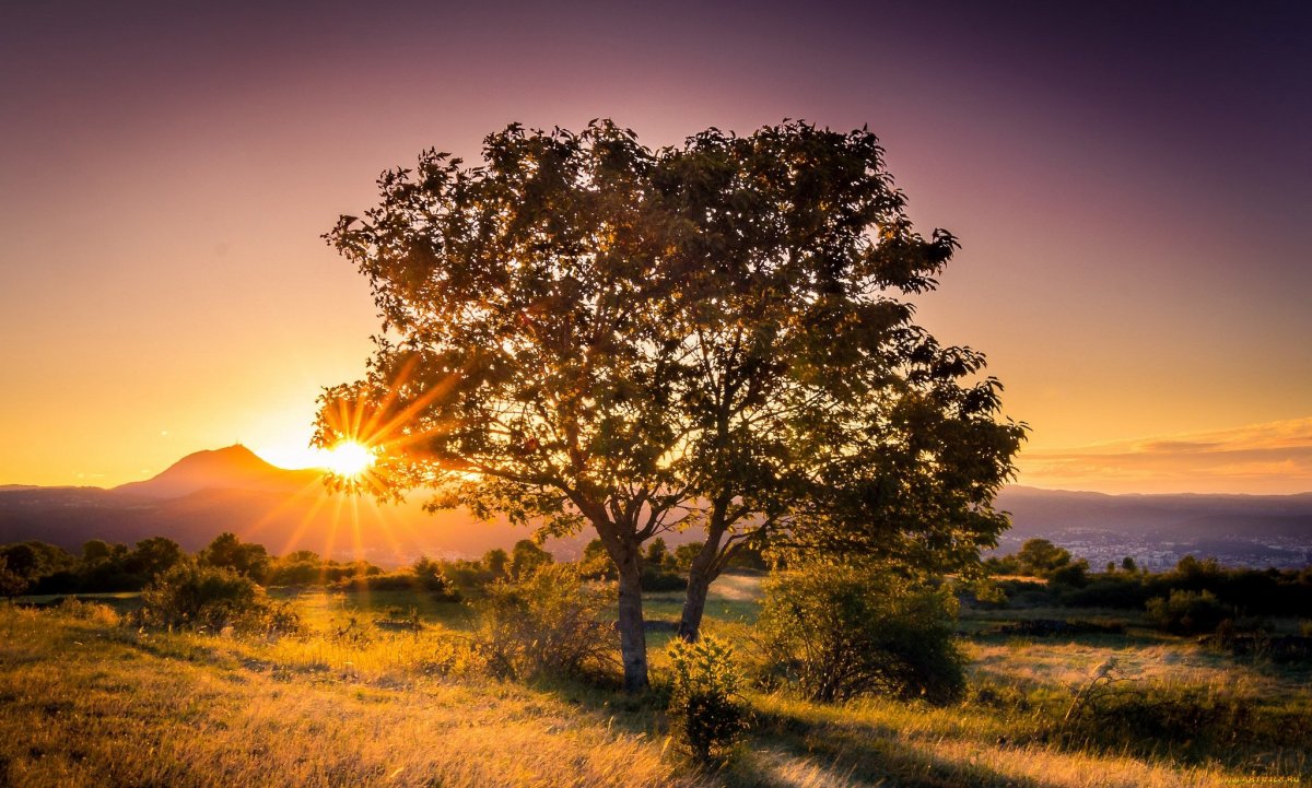 Восход на рабочий стол