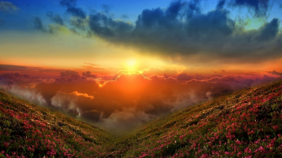 Красивый Восход