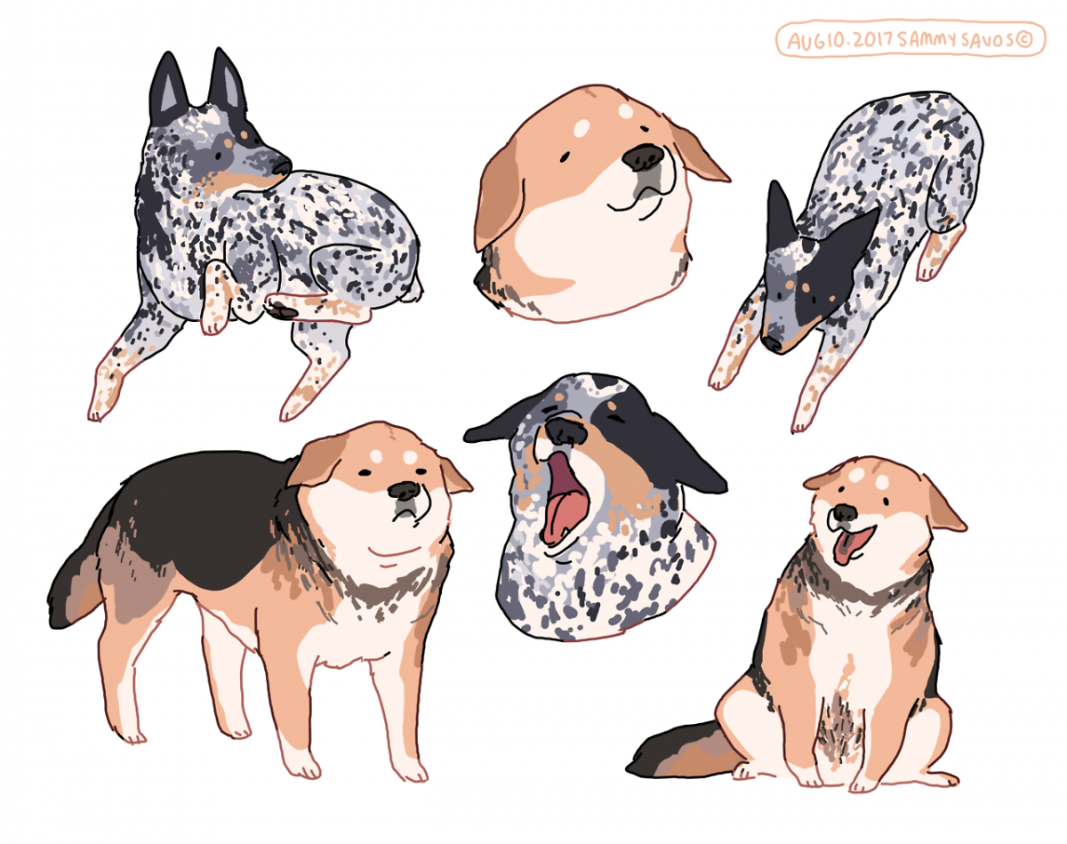 Йоркширский терьер детеныш