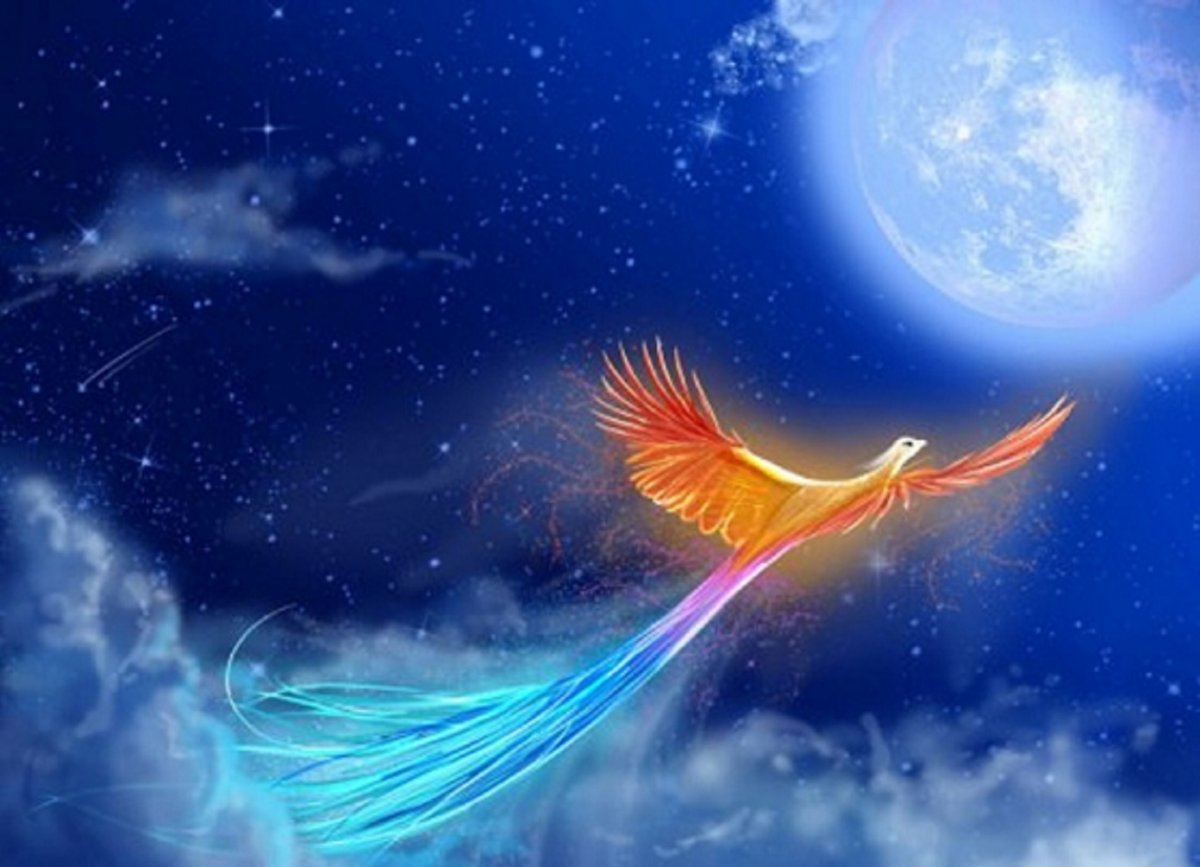 Птица хумо рисунок