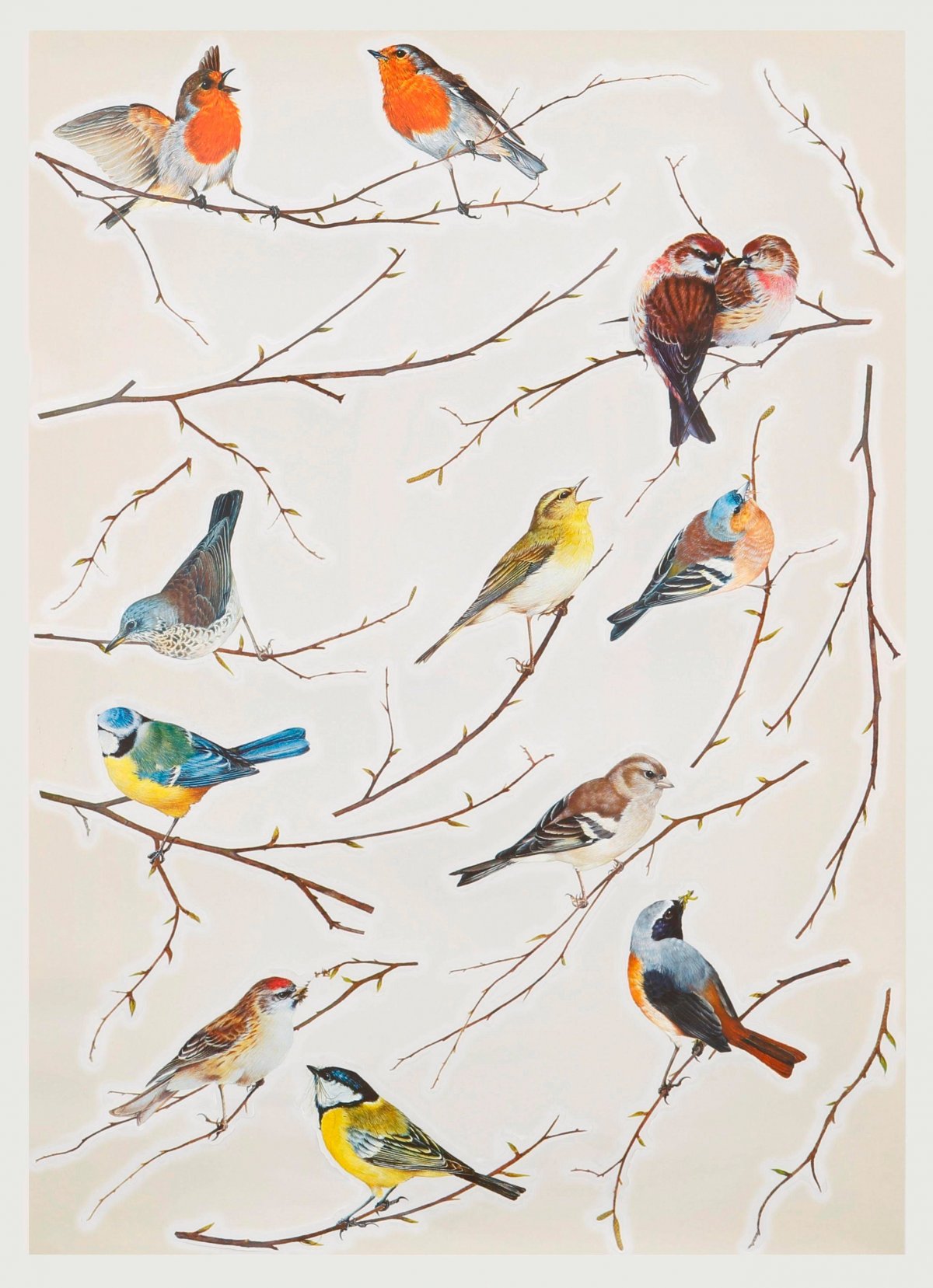 Длиннохвостая неясыть ареал обитания