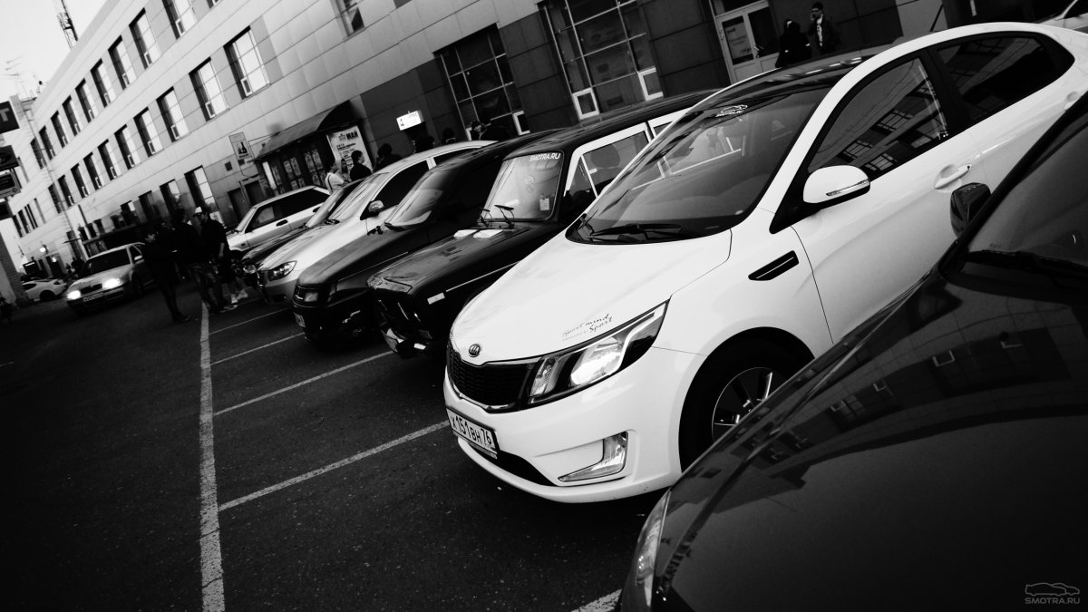 Много чёрных машин