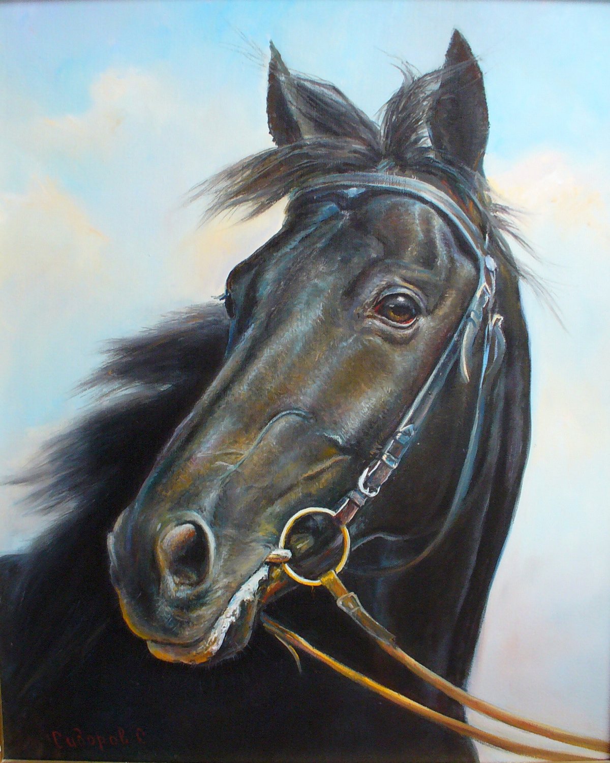 Донская лошадь голова