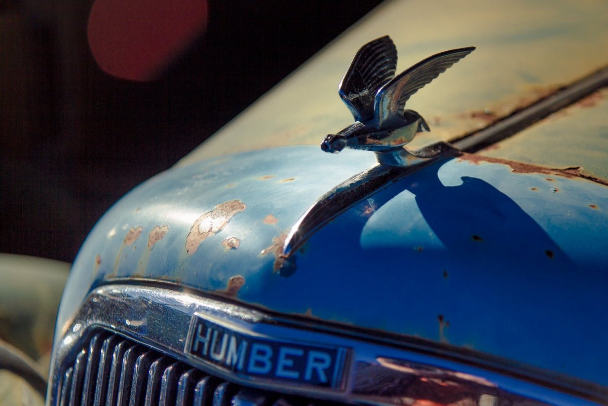 Марка машины с птицей на капоте