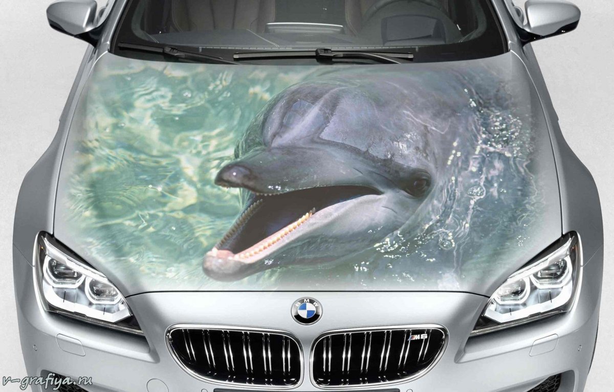 Птица на капоте