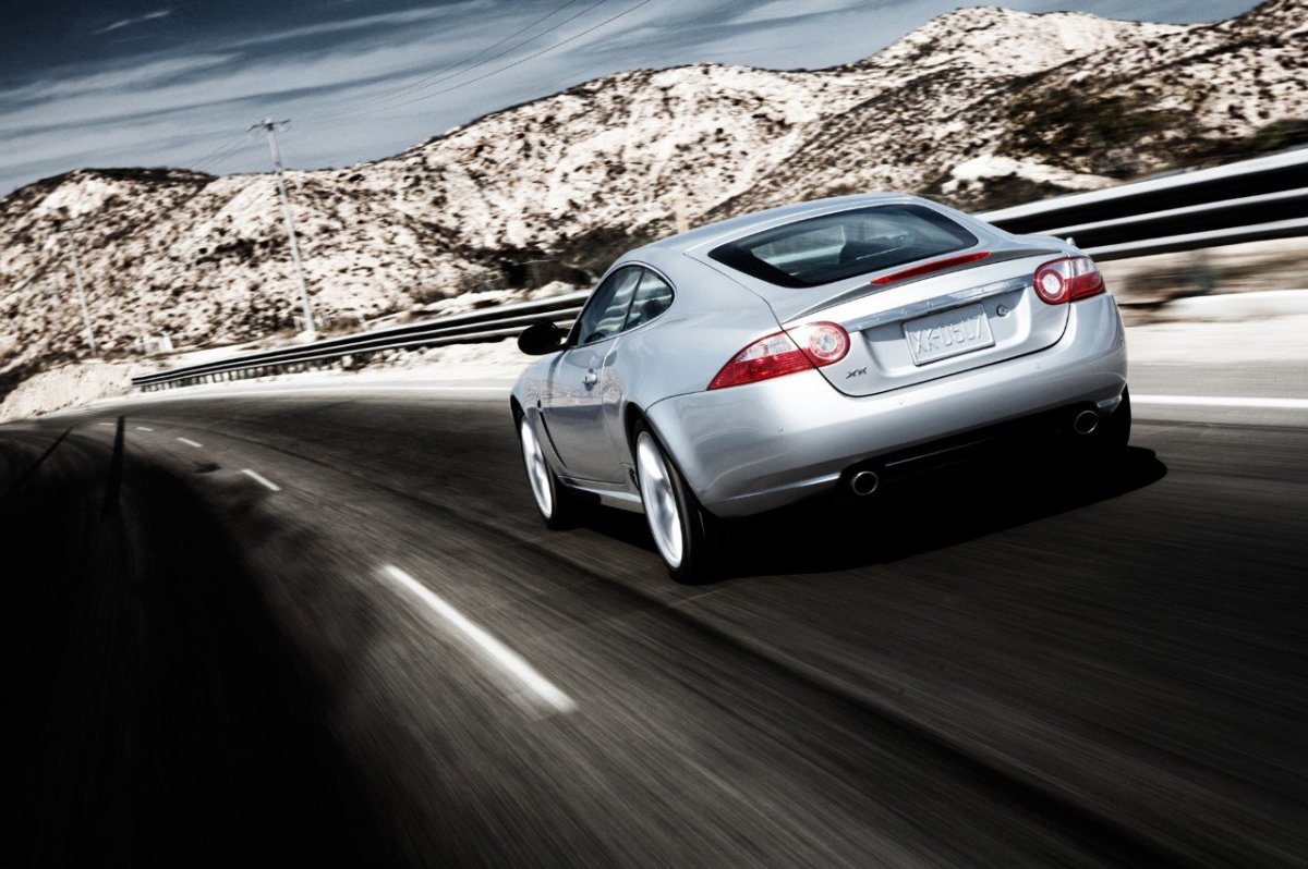 Птицы обгадили машину