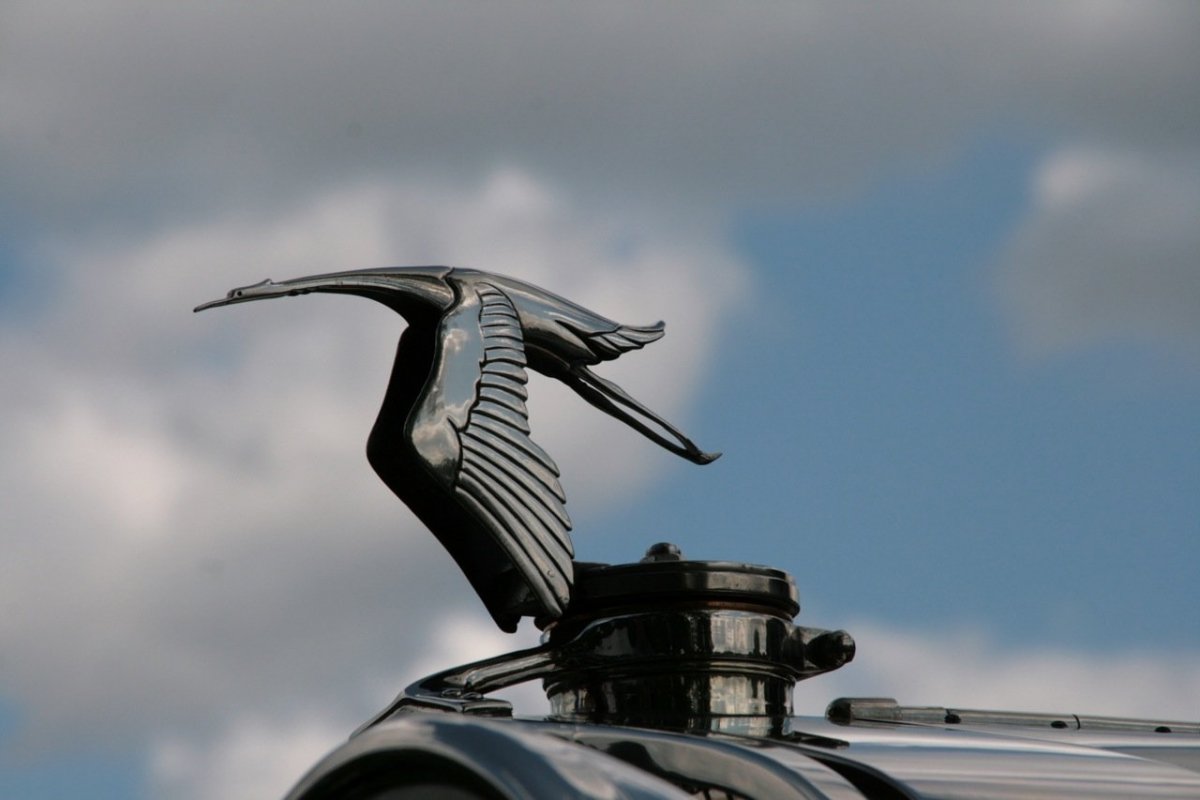 Значки на капоте автомобилей