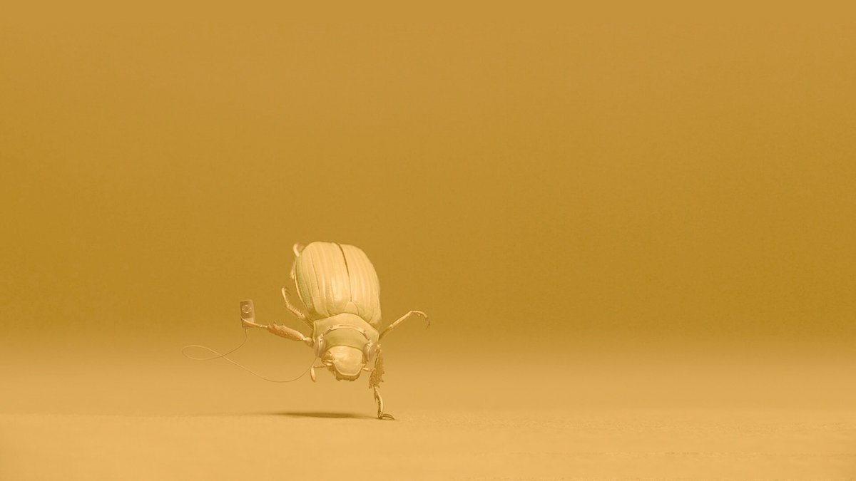 Клоп хищнец грязный