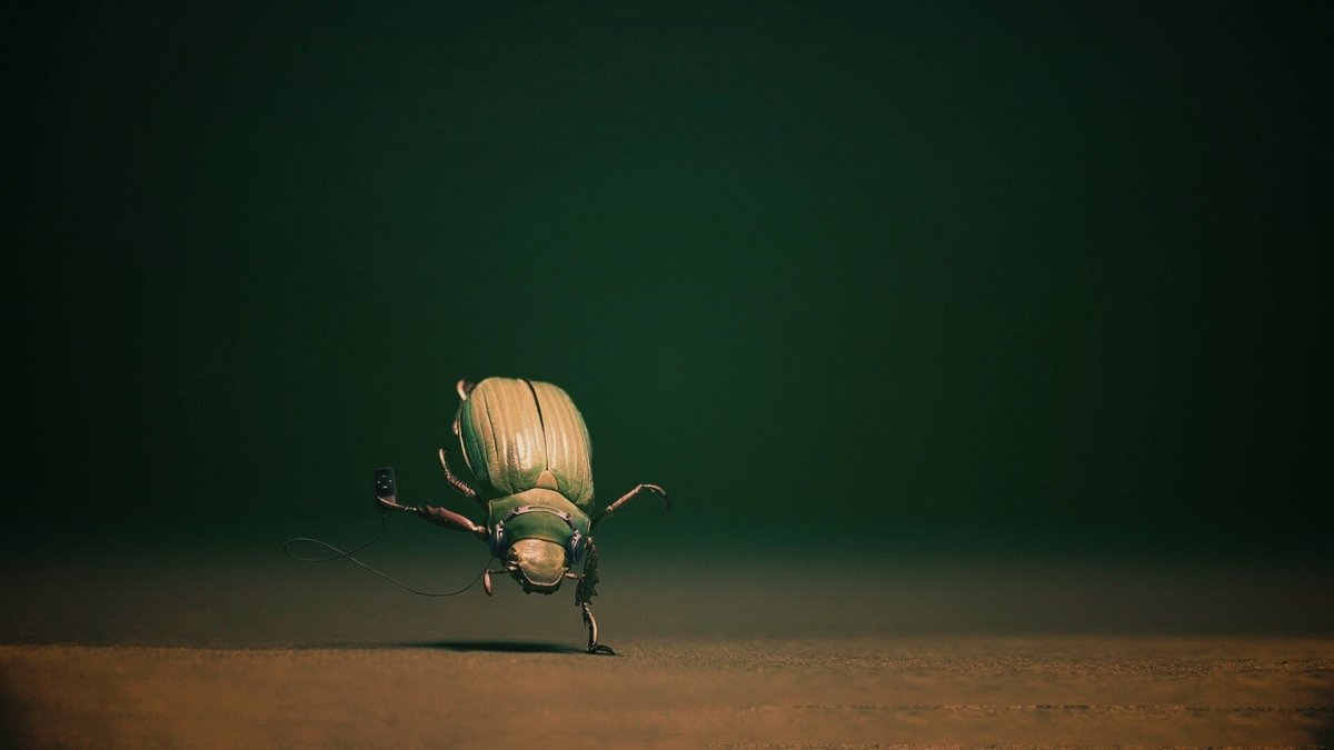 Черный жучок на клубнике