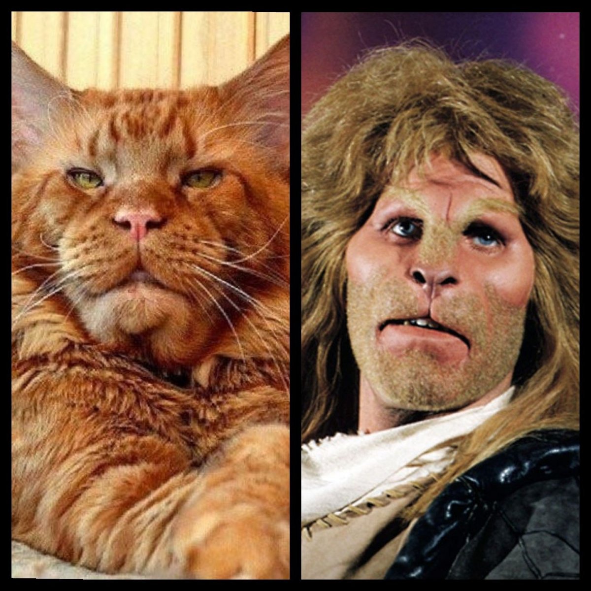 Мейн кун Валькирия