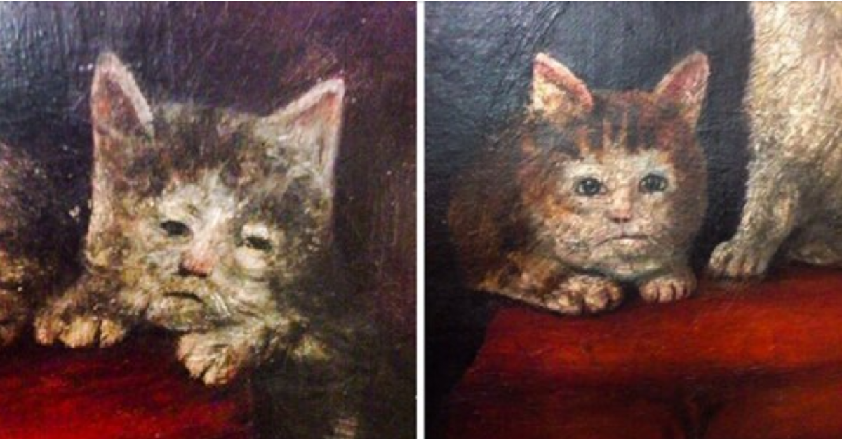 Мейн кун с человеческим лицом