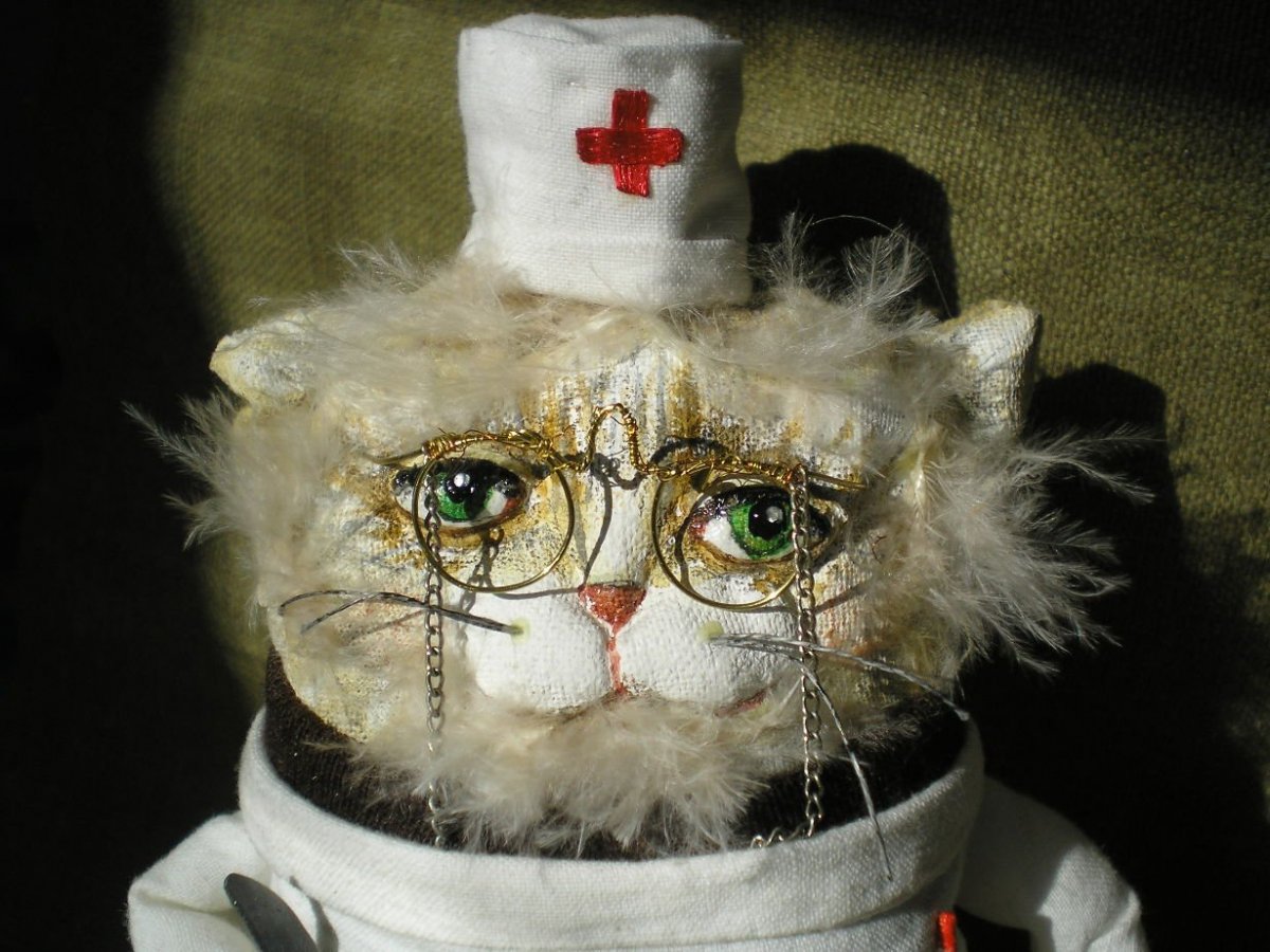 Котик медик