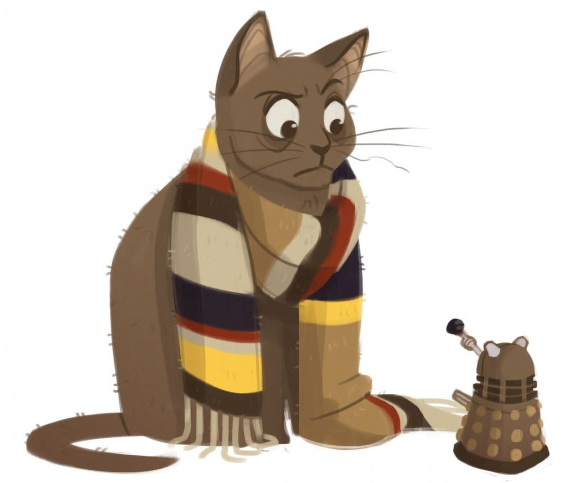 Кошка доктор