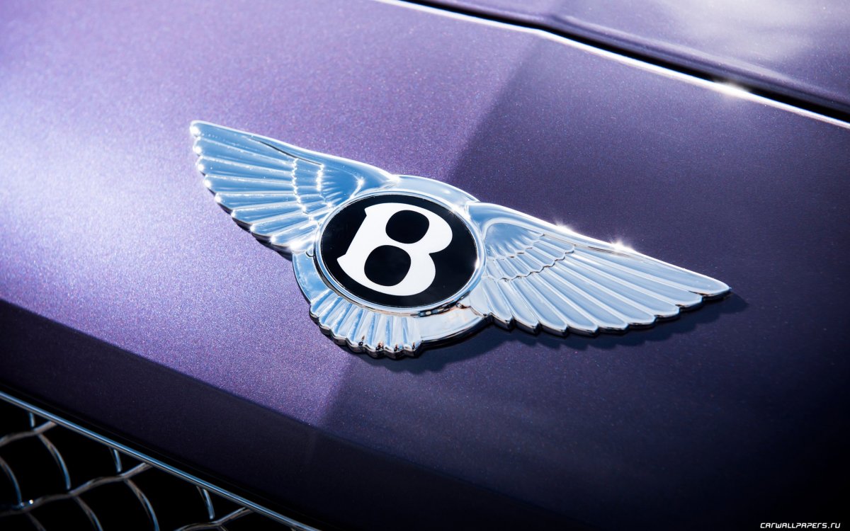 Крыло автомобиля