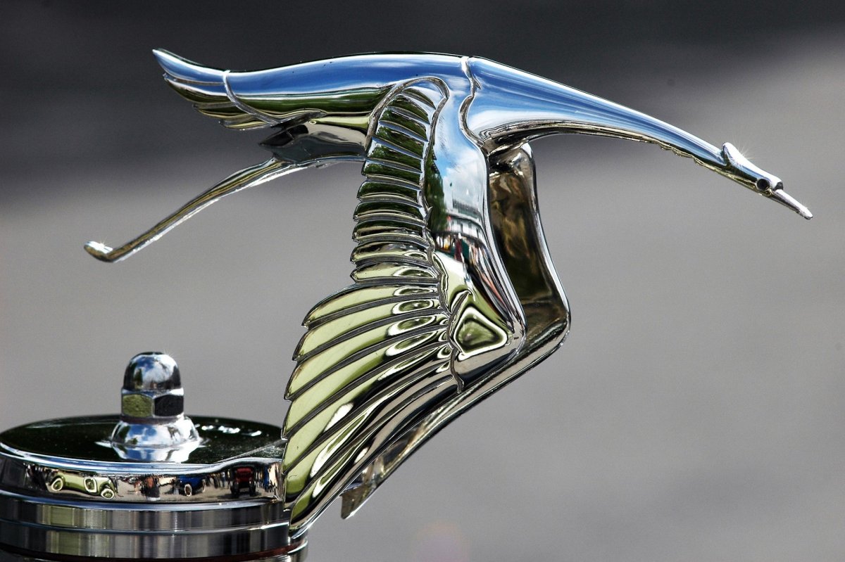 Орел на капоте автомобиля