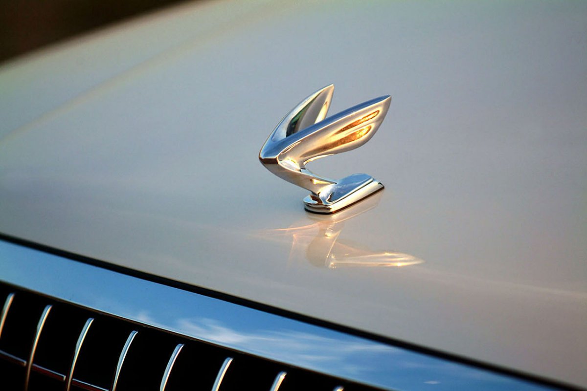 Марка автомобиля с птицей