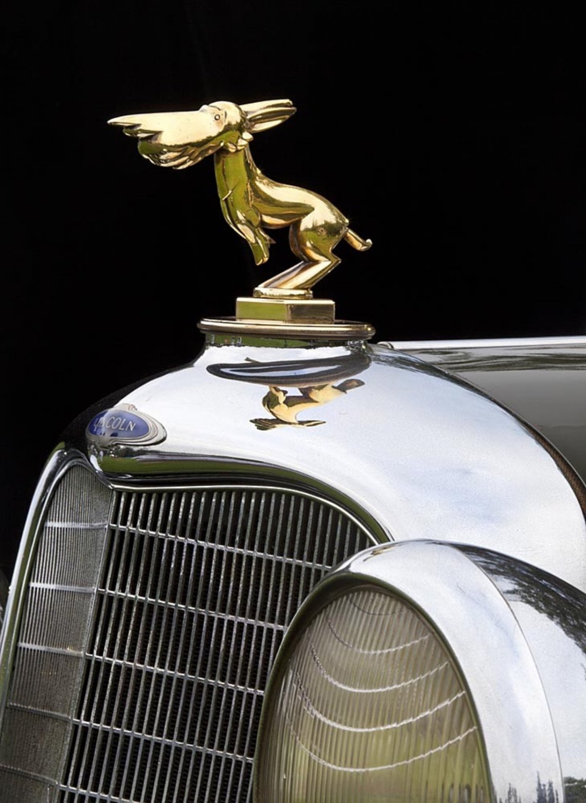 Птица на капоте