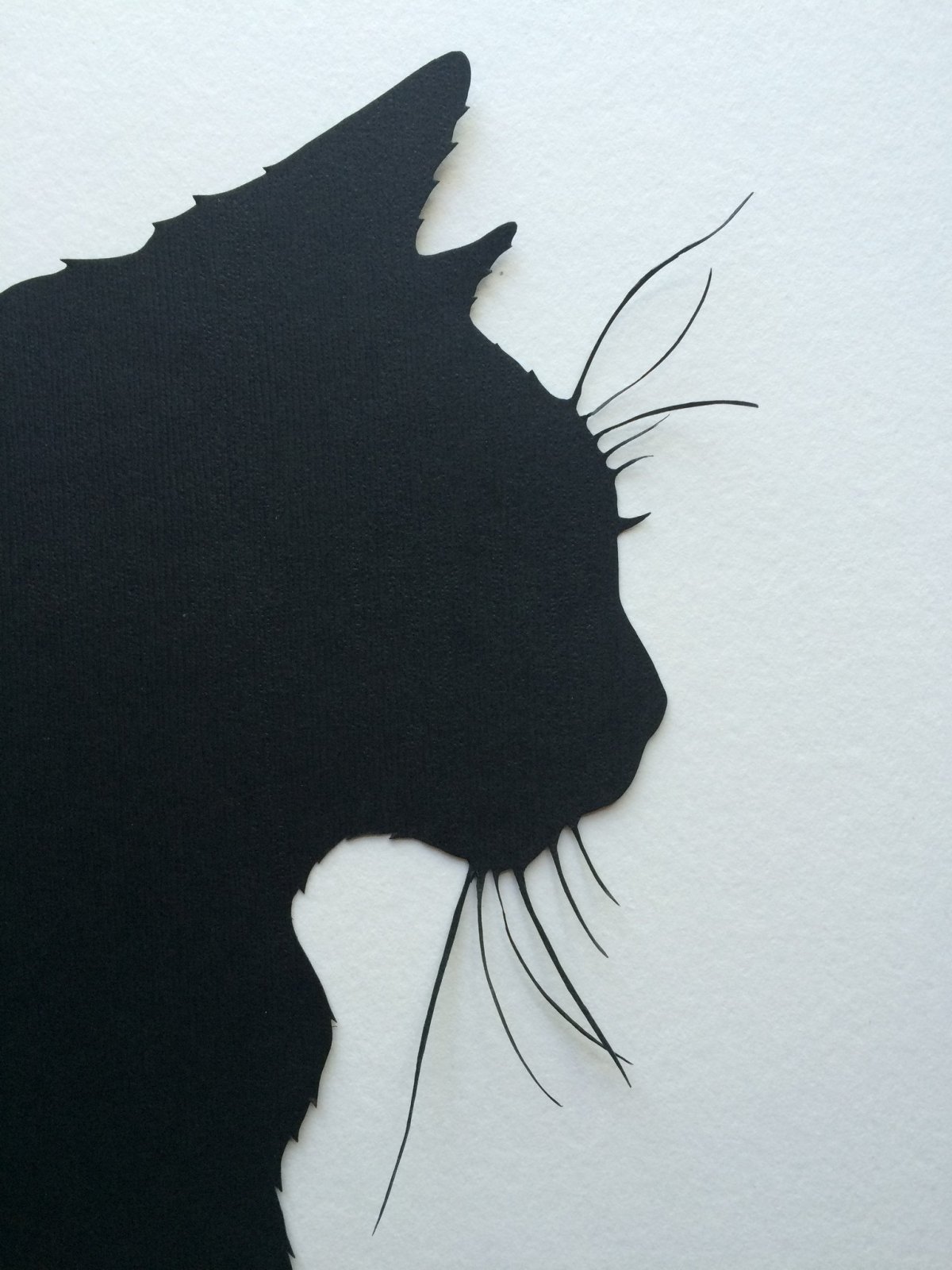 Черно белые силуэты животных