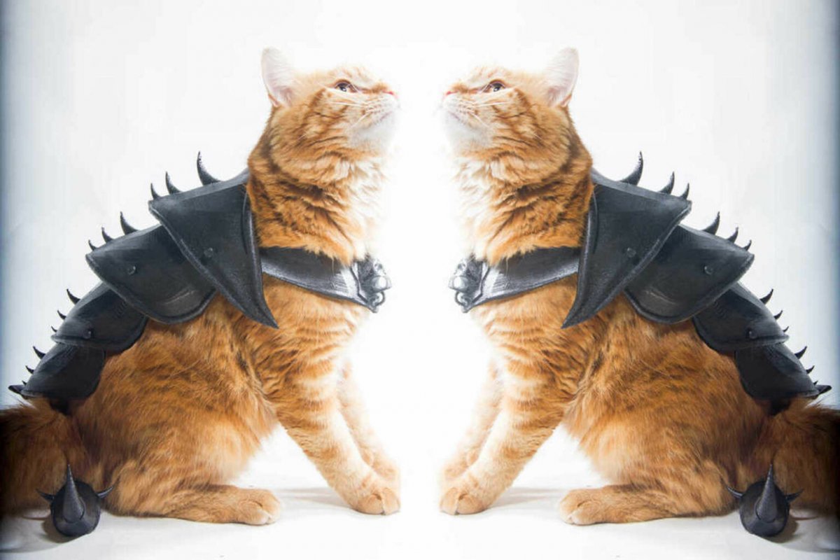 Кошачий косплей