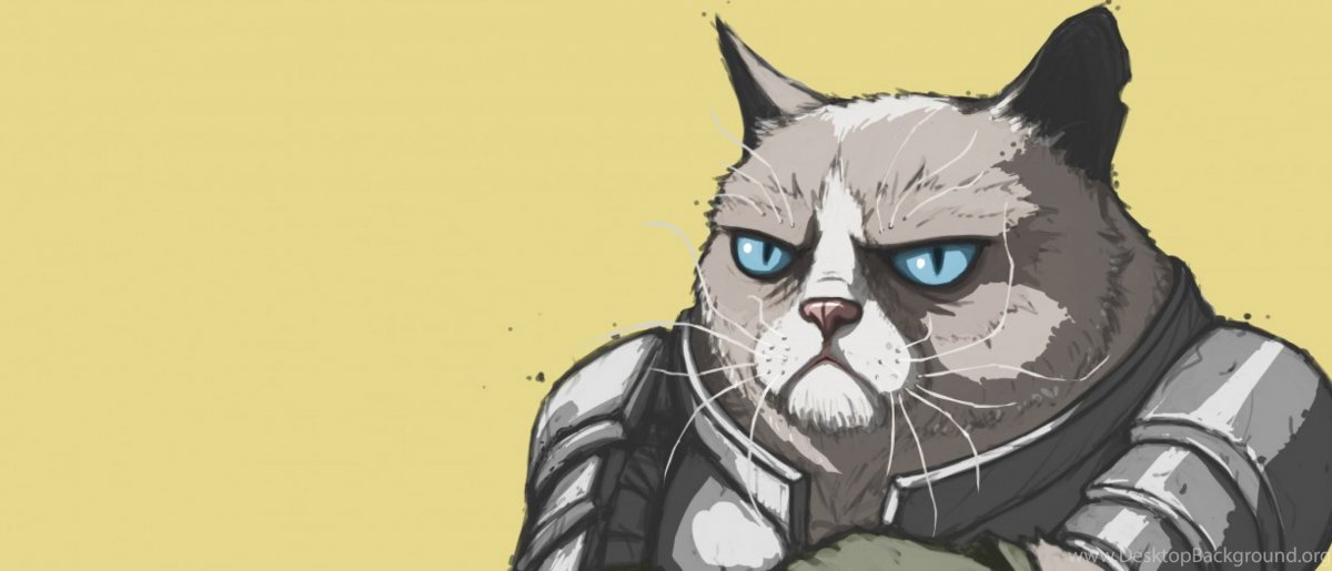 Кот в доспехах скайрим