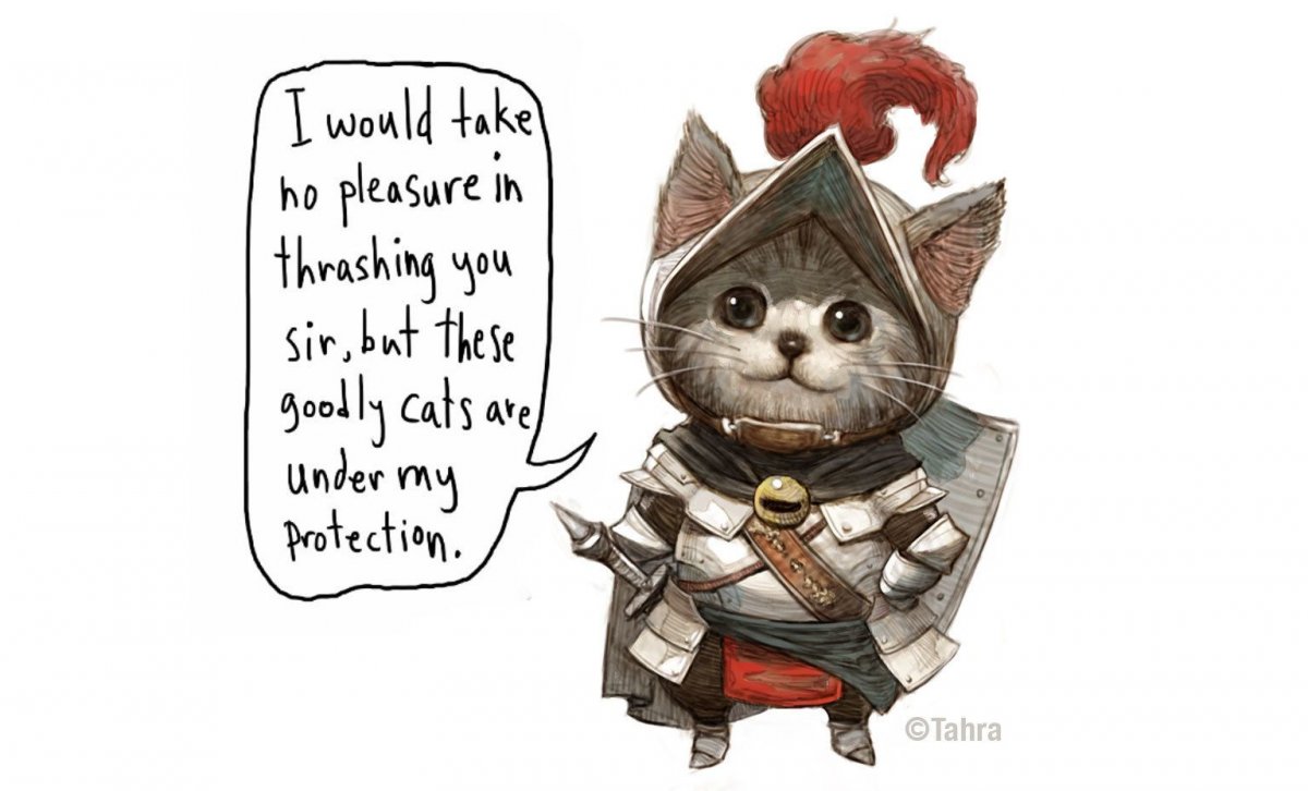 Кот воин картинки