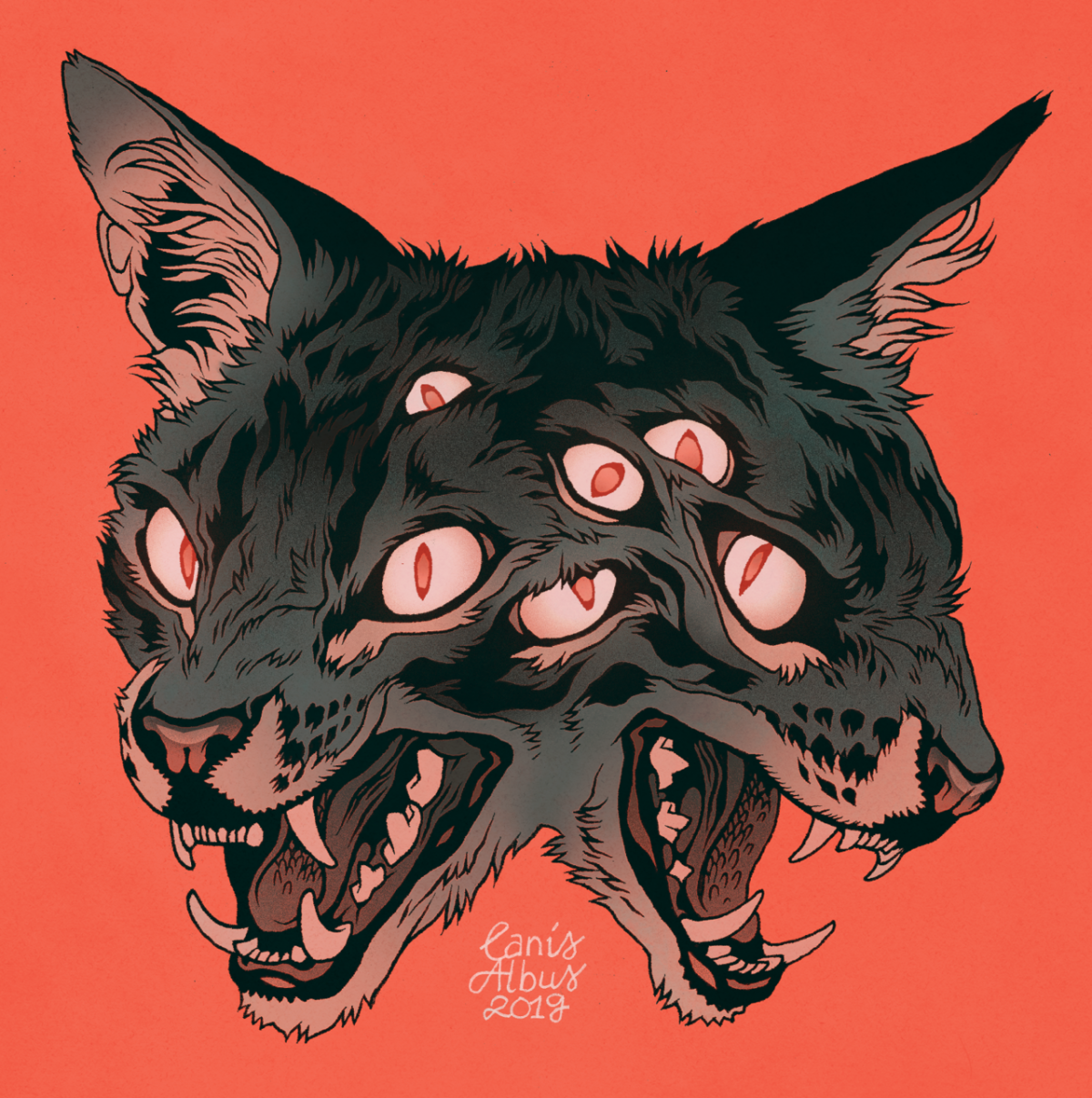 Кот Локки сфинкс