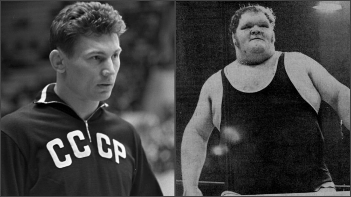 Медведь на заднем дворе