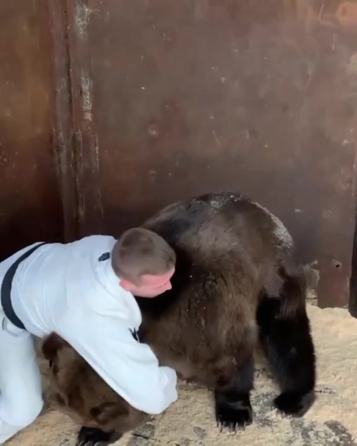 Александр медведь-Вильфрид Дитрих