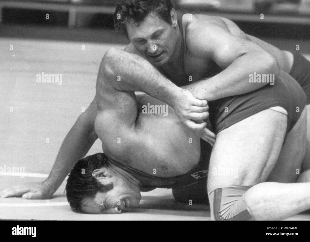 Гризли и бурый медведь