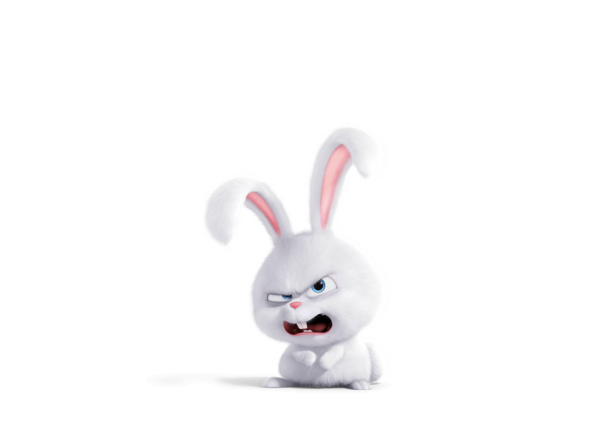 Жизнь домашних животных кролик