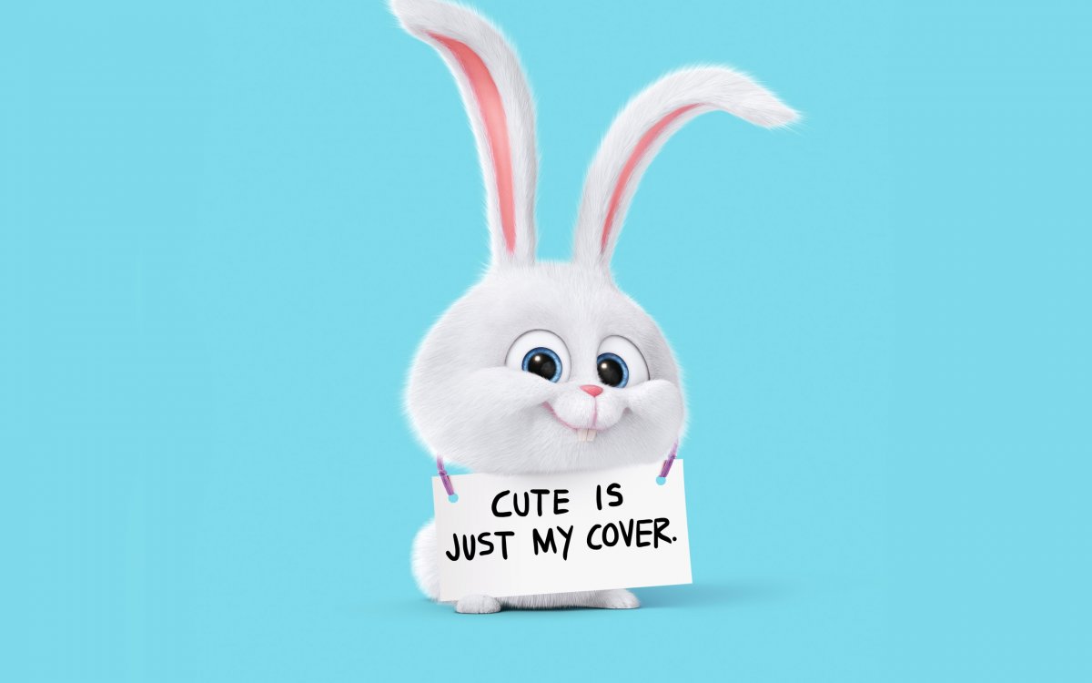 Обои с кроликом на телефон мультяшные