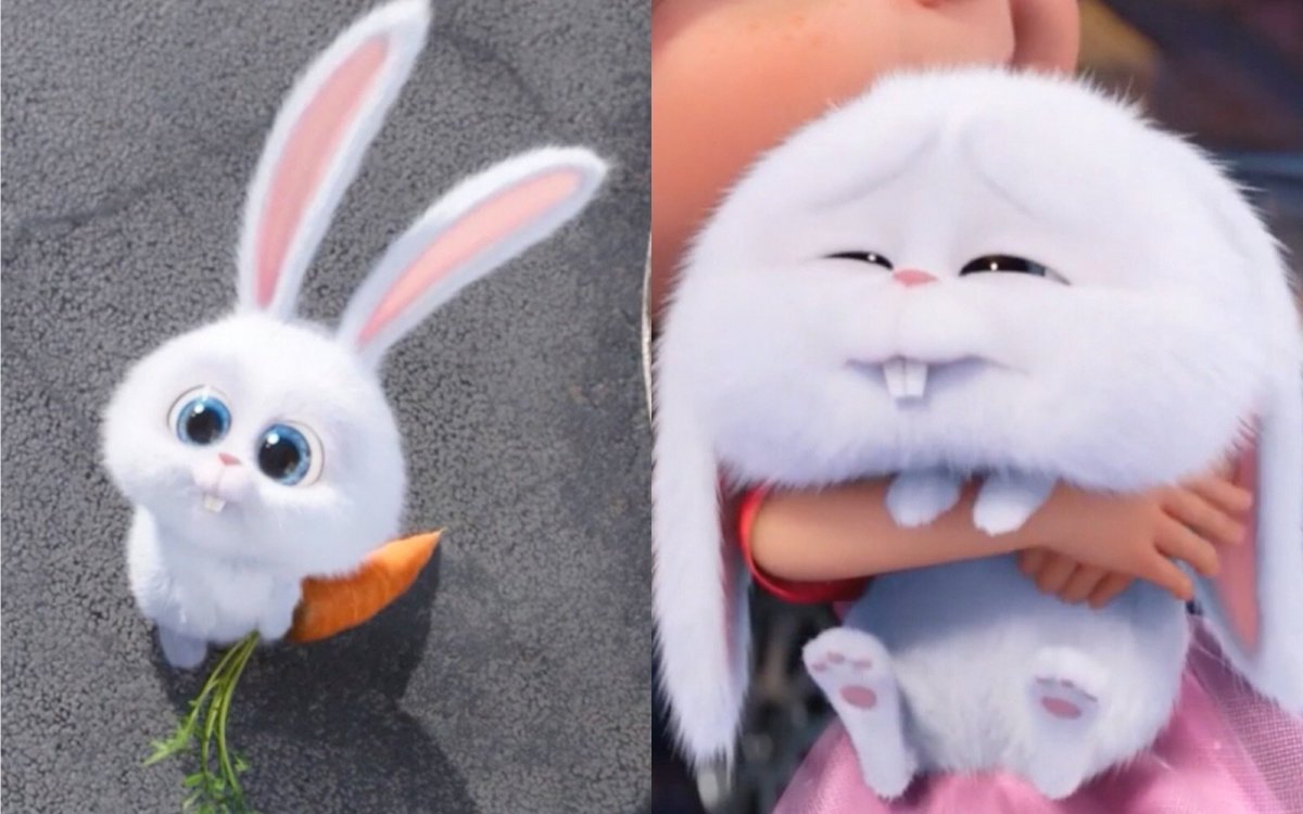 Snowball Тайная жизнь