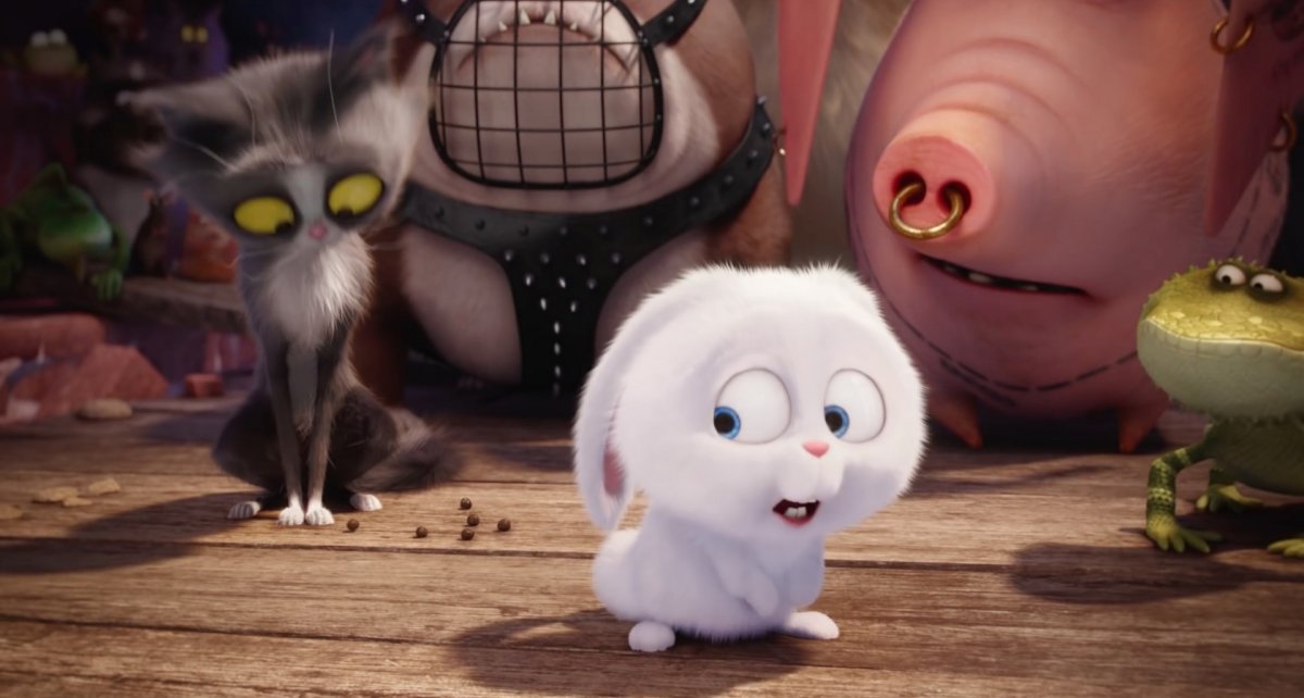 Заяц из жизнь домашних животных добрый