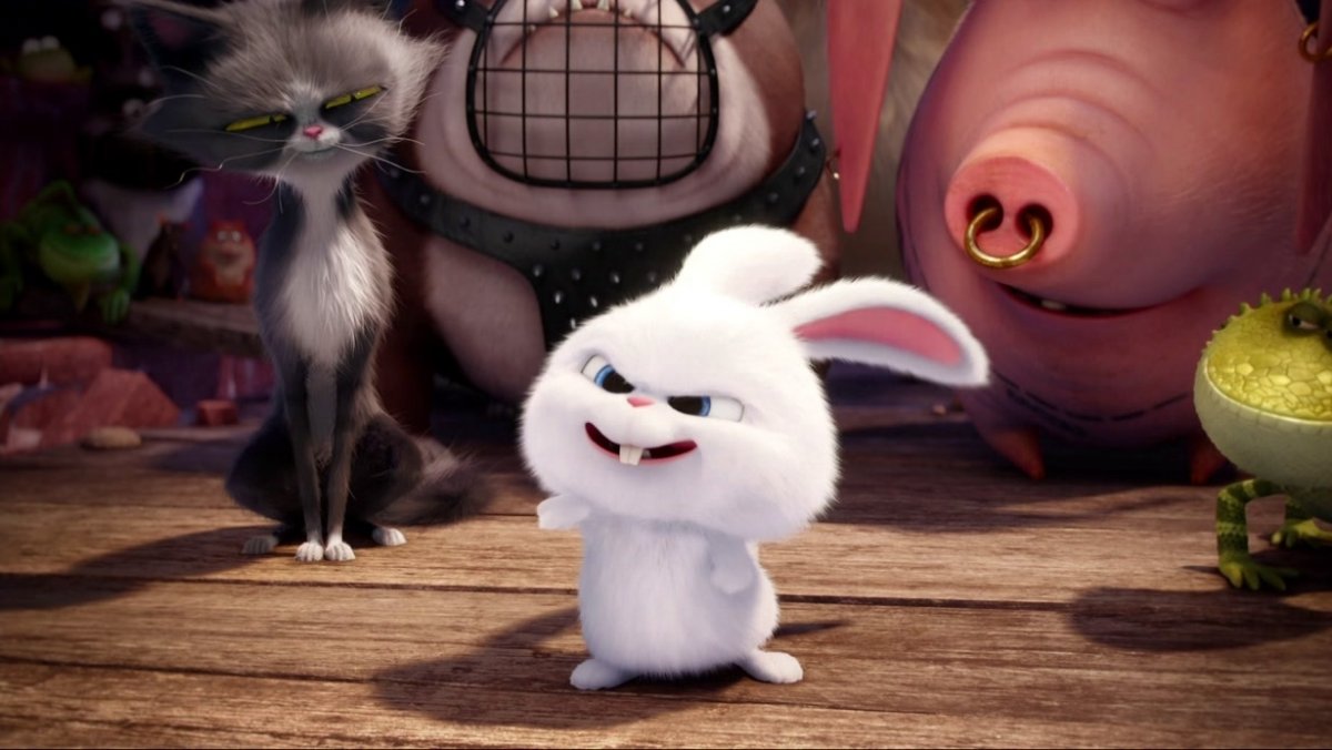 Зайчик снежок из Тайная жизнь домашних животных обои