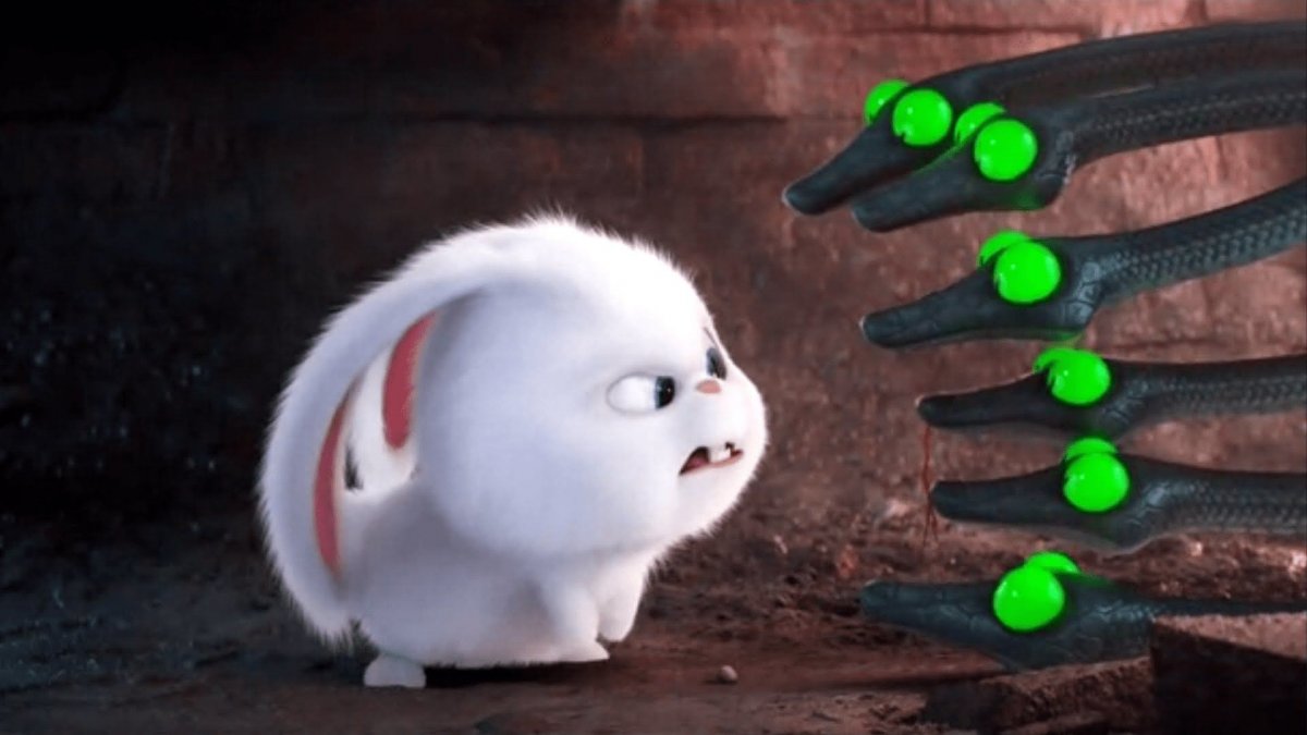 Кролик Тайная жизнь