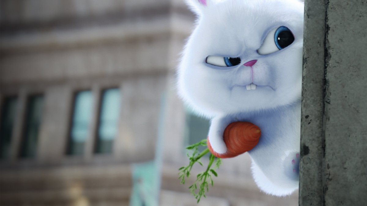 Тайная жизнь домашних животных кролик