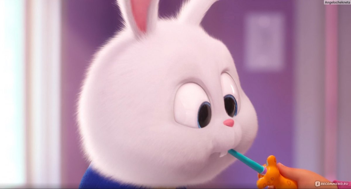 Тайная жизнь домашних животных кролик