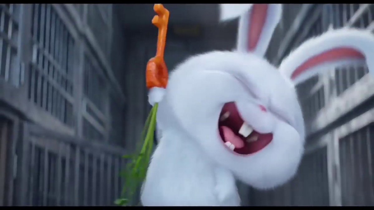 Тайная жизнь домашних животных 1 кролик