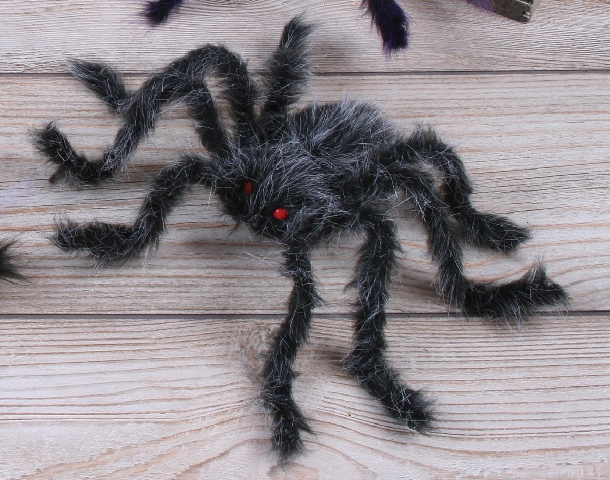 Белый пушистый паук с красными глазами