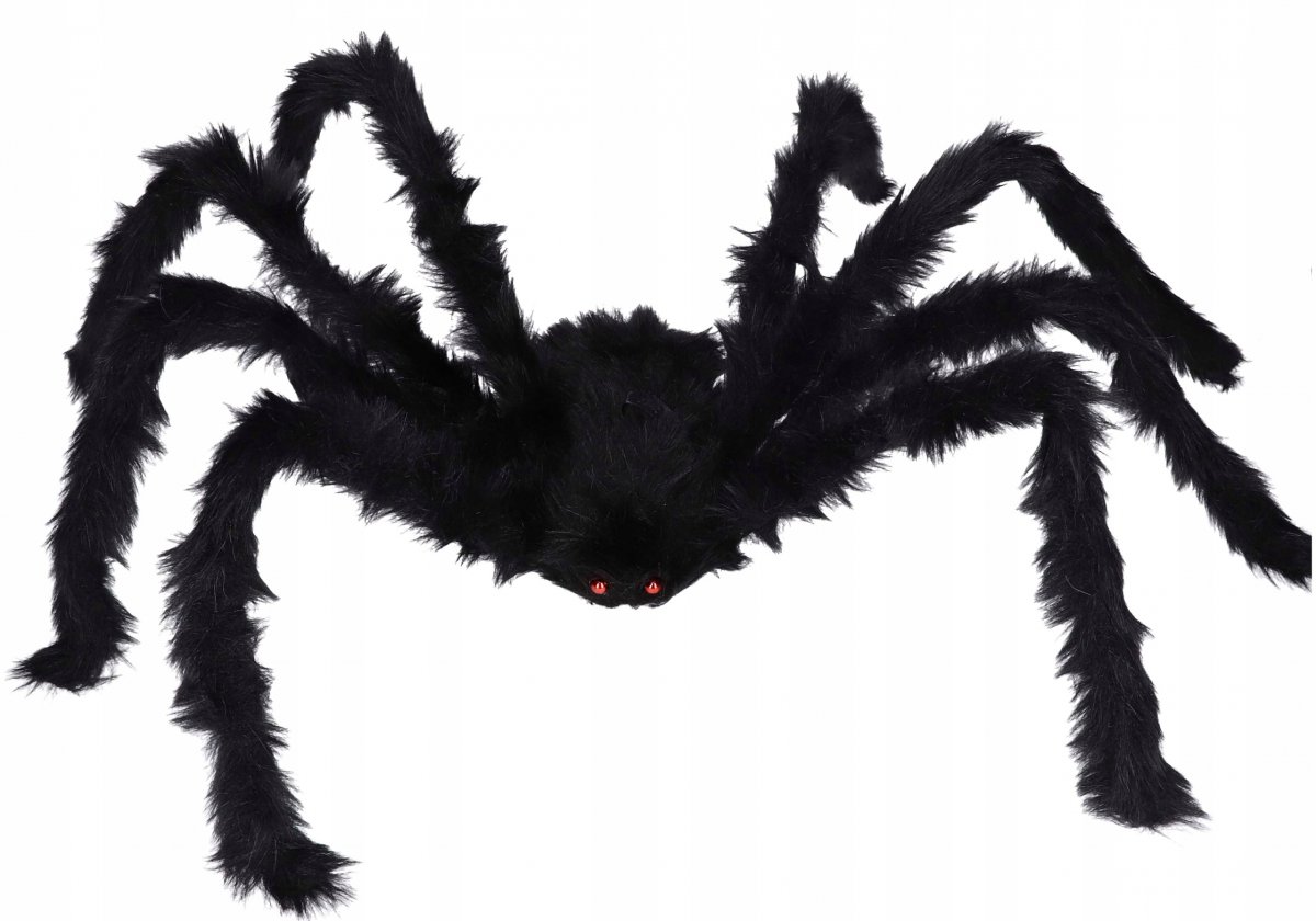 Паук большой черный мохнатый