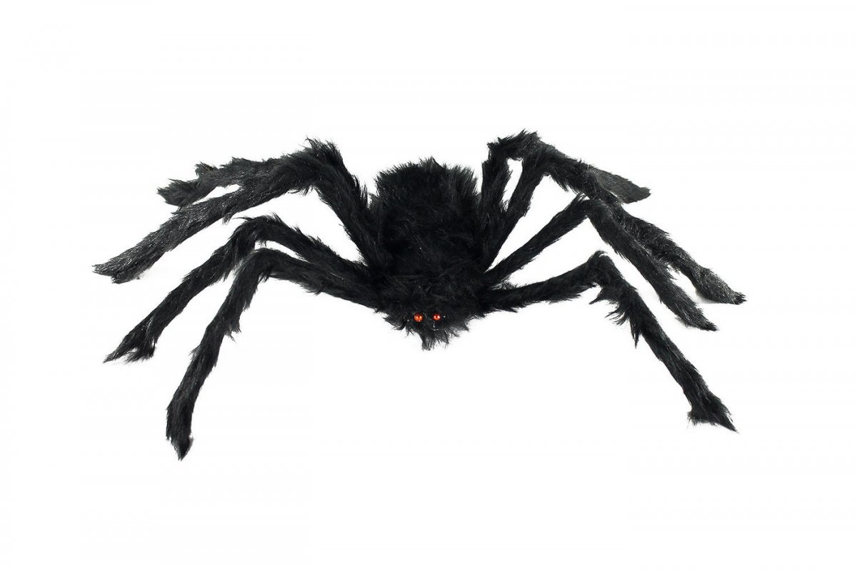 Паучок черный