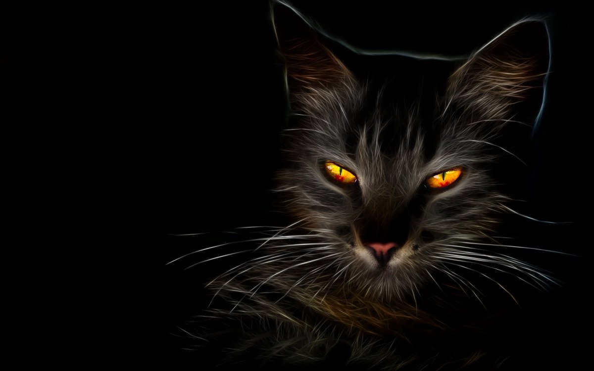 Черная кошка морда