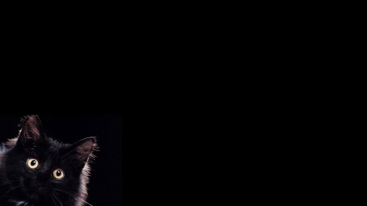 Обои на рабочий стол ченчые