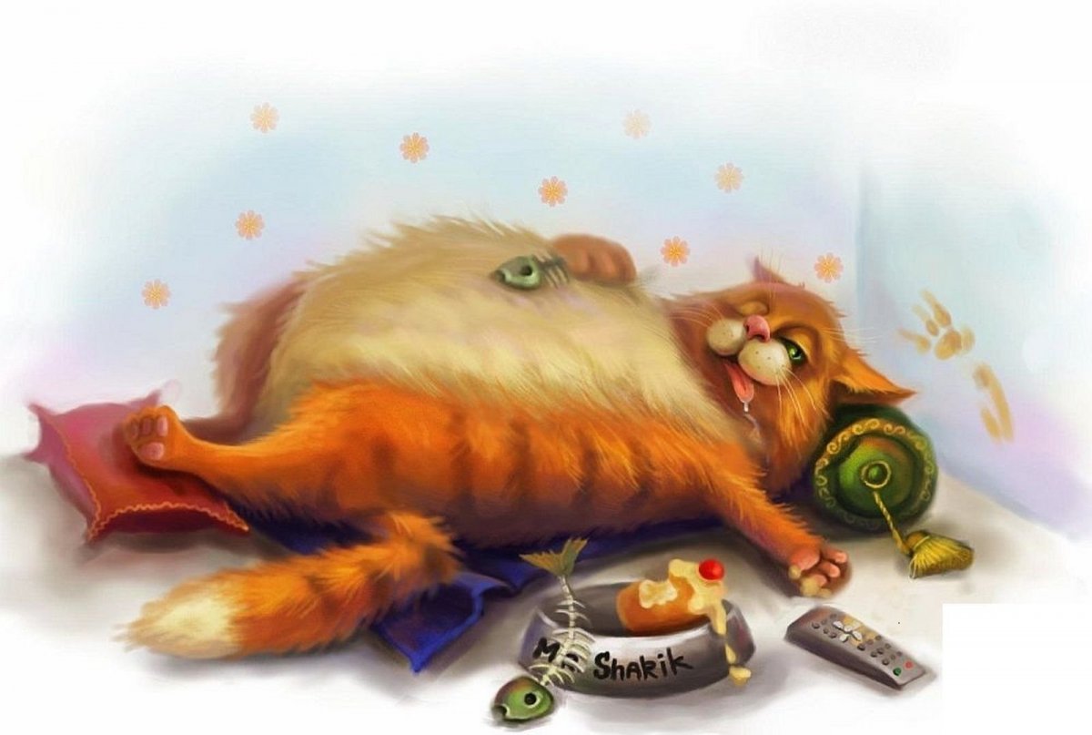 Психанула корм коту